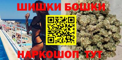 индика Новозыбков