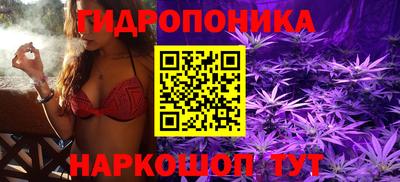 ECSTASY Новокубанск