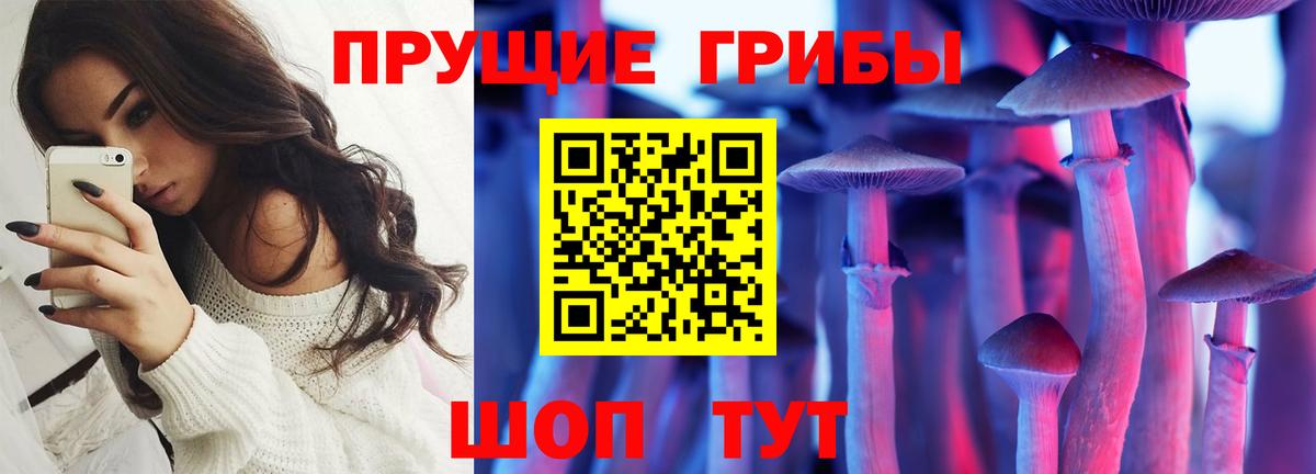 Псилоцибиновые грибы Magic Shrooms Россия
